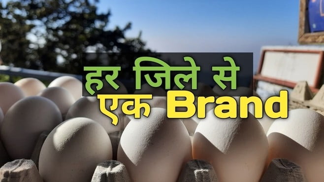 IMG 20221018 WA0014 1