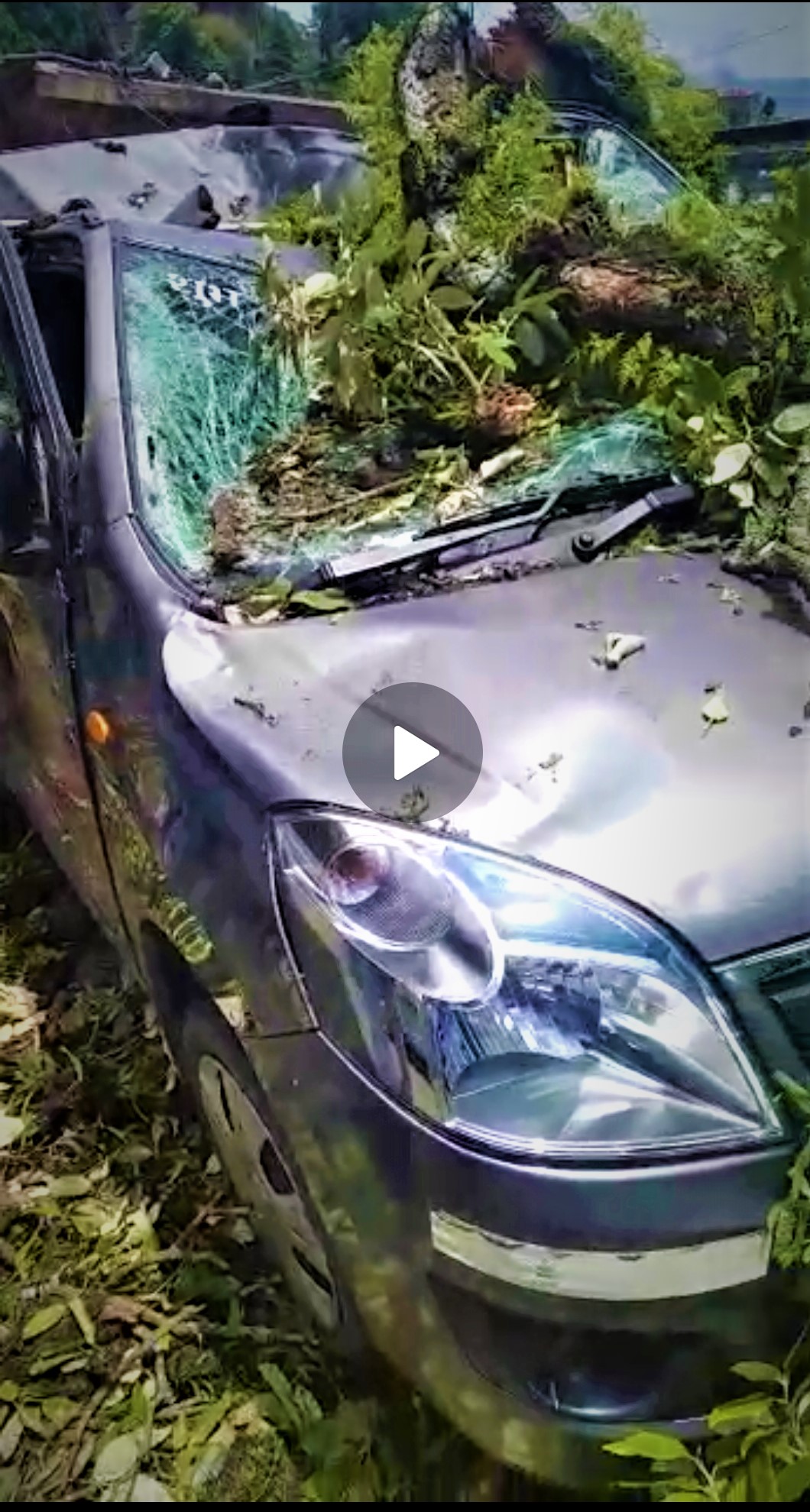 Mussoorie pr ped gira