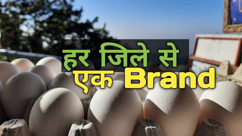 Every district will produce a brand-1