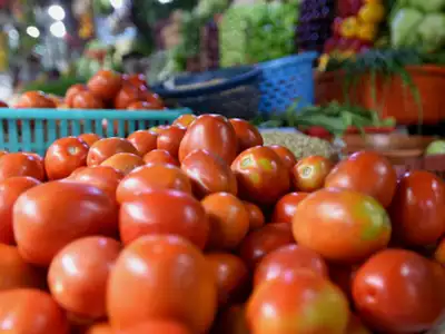 आज से यहां मिलेंगे सस्ते टमाटर, सरकार ने दिए यह निर्देश | Tomato prices reduced in dehradun 4 Tomato prices reduced in dehradun