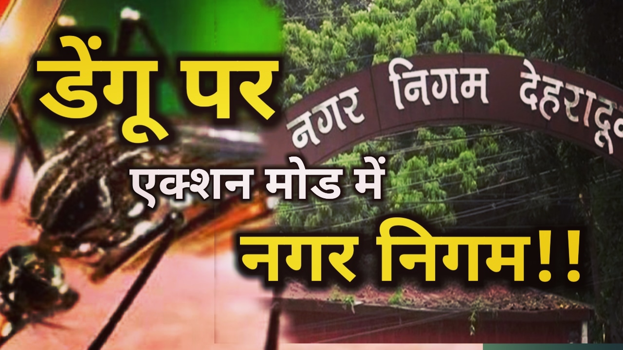 डेंगू से बचाव के लिए निगम ने लिया अहम फैसला, 5 हजार घरों में चलाया अभियान, लार्वा पाए जाने पर लगेगा इतना जुर्माना | Fine will be imposed if Dengu Larva found in home 1 Fine will be imposed if Dengu Larva found in home