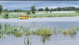 SDRF Team Save Elderly Couple