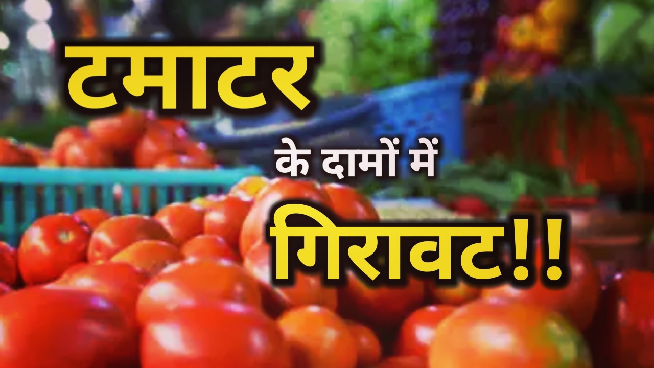 आज से यहां मिलेंगे सस्ते टमाटर, सरकार ने दिए यह निर्देश | Tomato prices reduced in dehradun 1 Tomato prices reduced in dehradun