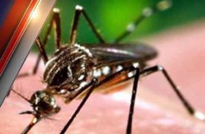 Dengu Cases In Dehradun : कोरोना की तर्ज़ पर डेंगू रोकथाम की रणनीति तैयार, जाने नगर निगम ने बनाई क्या योजना... | Micro Contentment Zone will be announced where 10 dengu cases found 2 Dengu Cases In Dehradun