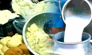 Uttarakhand ranked second in Food Safety On Wheels