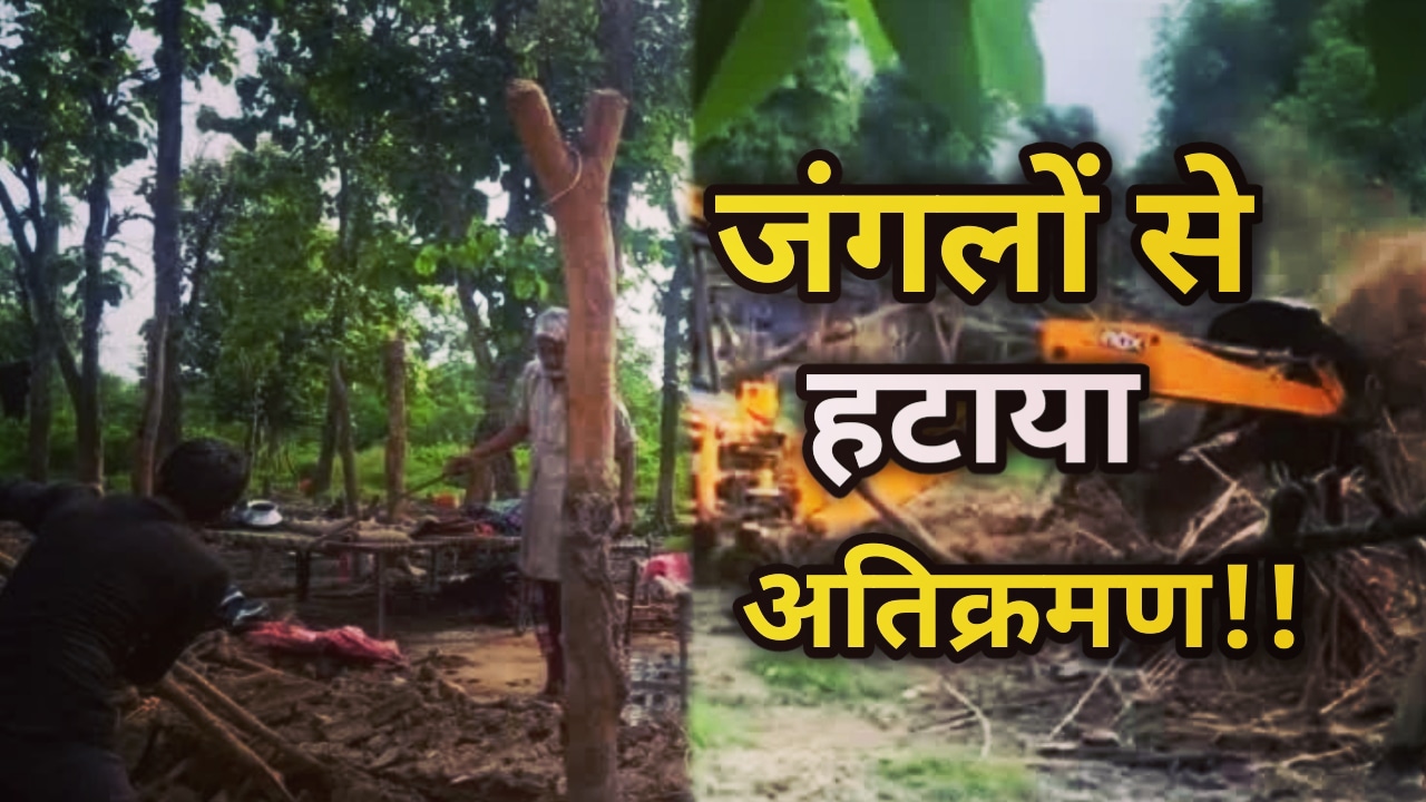 Encroachment : डोईवाला के जंगलों से हटाया अतिक्रमण , 155 बीघा जंगल पर वन गुर्जरों ने किया था कब्जा | Doiwala Forest Encroachment 60 Doiwala Forest Encroachment