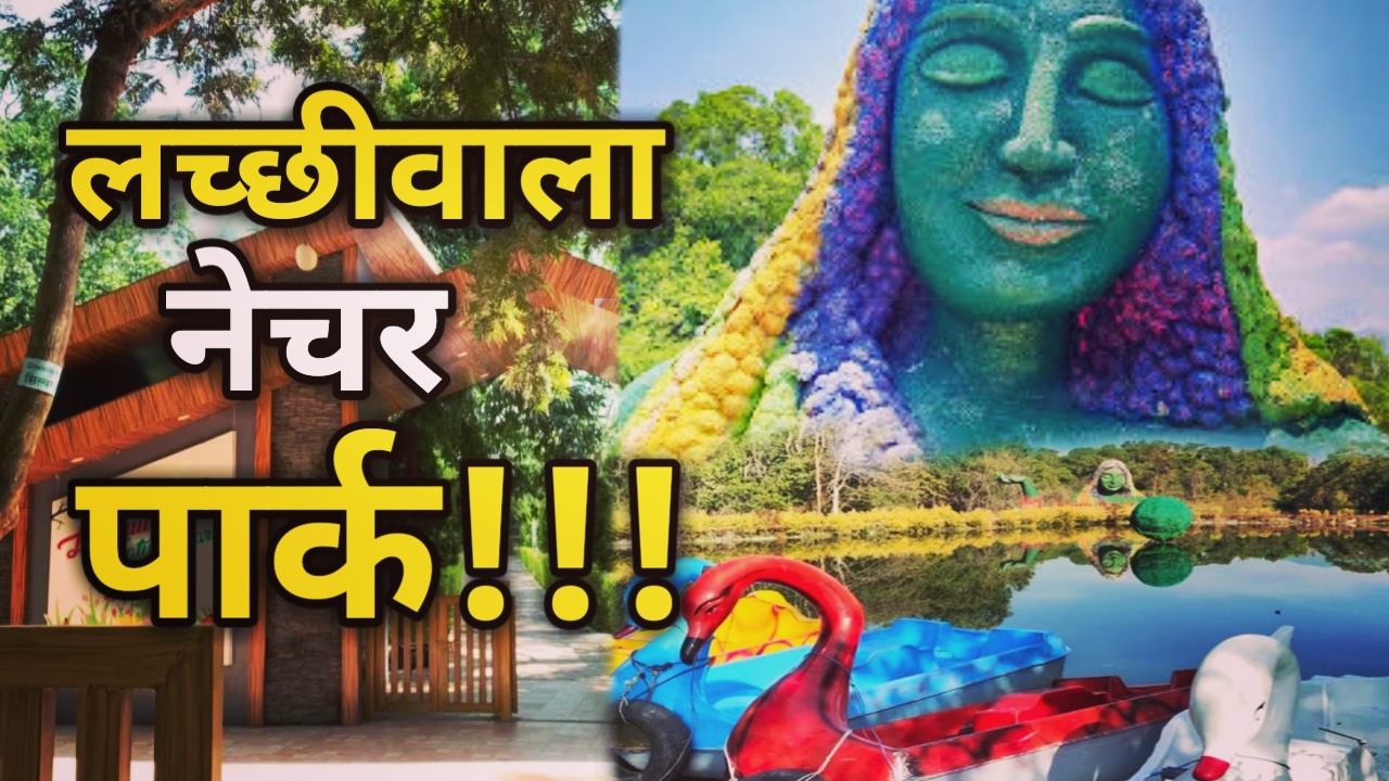 Lachhiwala Park : पिकनिक स्पॉट में प्रसिद्ध हो रहा लच्छीवाल नेचर पार्क, प्रशासन ने टिकट से कमाए 2.5 करोड़ रुपए, लोगों को कर रहा अपनी और आकर्षित | Lachhiwala Nature Park 13 Lachhiwala Nature Park