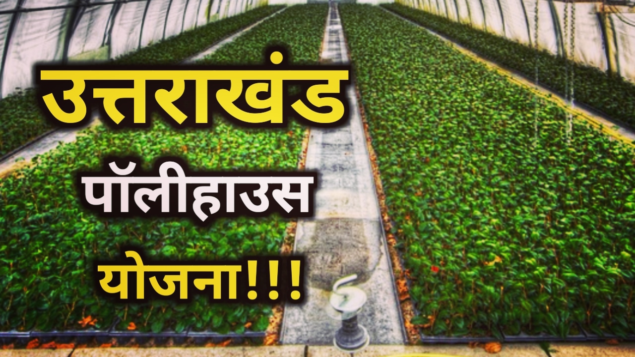 Uttarakhand Polyhouse Scheme 2023