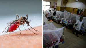 देहरादून में तेजी से बड़ा Dengue का ग्राफ, अब तक 174 लोग हुए डेंगू का शिकार, अस्पतालों में बढ़ाए जा रहे बेड | Dengue Cases increase in Dehradun 5 Dengu Cases increase in Dehradun