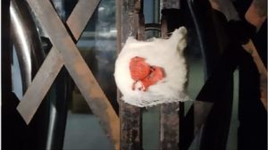 Sealing Notice Issued in 247 Clinic and Hospital's in Dehradun