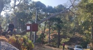 power Outage के कारण 38 गांवों की बिजली गुल, तीन दिनों से परेशान 40 हजार लोग, कारोबार ठप, शिक्षा पर भी पड़ रहा असर | Power Outage In Almora 2 Power Outage In Almora