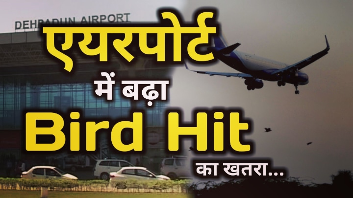 Bird Hit Risk In Dehradun : देहरादून में बढ़ रहा Bird Hit का खतरा, WLI ने 2 जगहों को किए Red Zone घोषित , जाने क्या है वजह | Bird Hit Risk Emerge In Jolly Grant Airport Dehradun 33 Bird Hit Risk In Dehradun