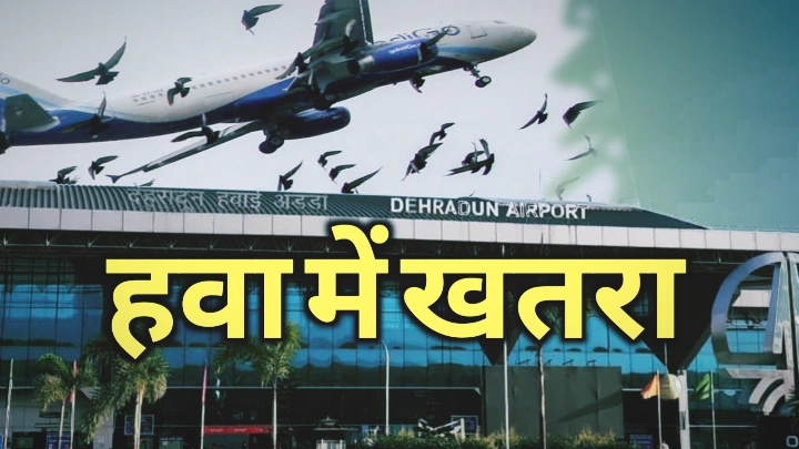 देहरादून आने वाली फ्लाइट से खतरा या फ्लाइट पर खतरा, जाने क्या है पूरा माजरा | Bird hit plane in dehradun 13 Bird hit plane in dehradun