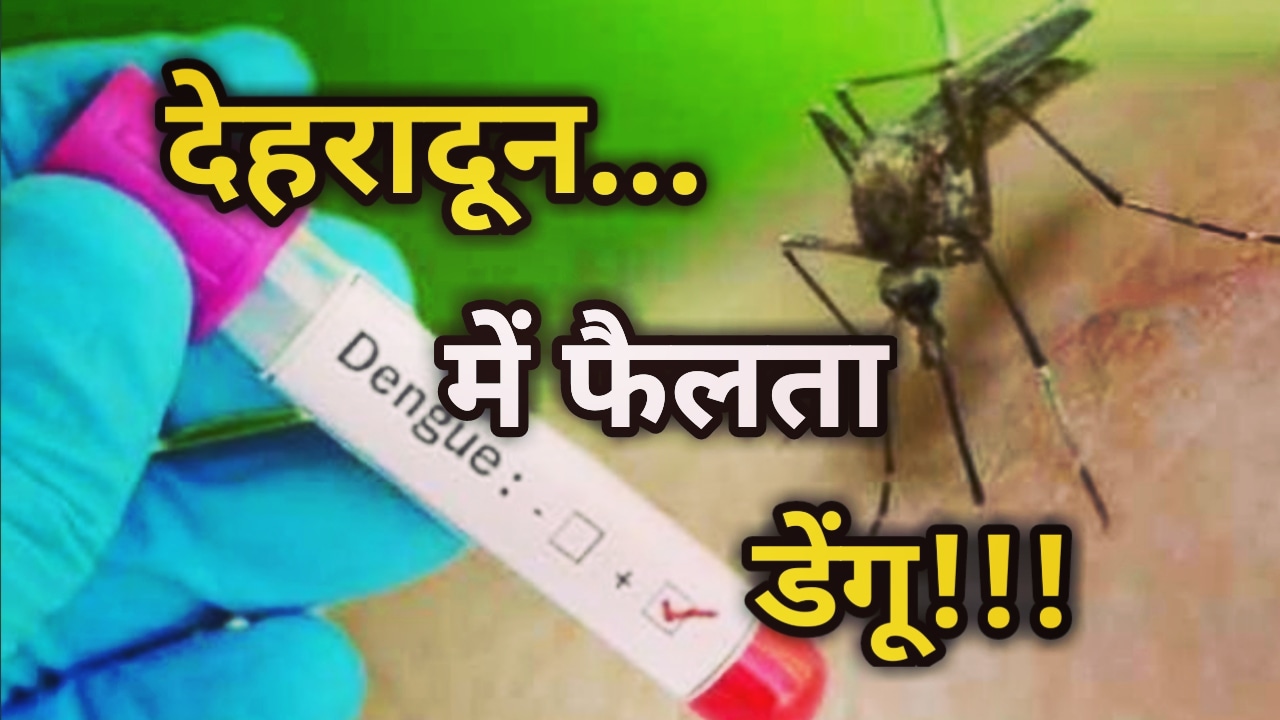 Dengu Cases In Dehradun : कोरोना की तर्ज़ पर डेंगू रोकथाम की रणनीति तैयार, जाने नगर निगम ने बनाई क्या योजना... | Micro Contentment Zone will be announced where 10 dengu cases found 23 Dengu Cases in Dehradun