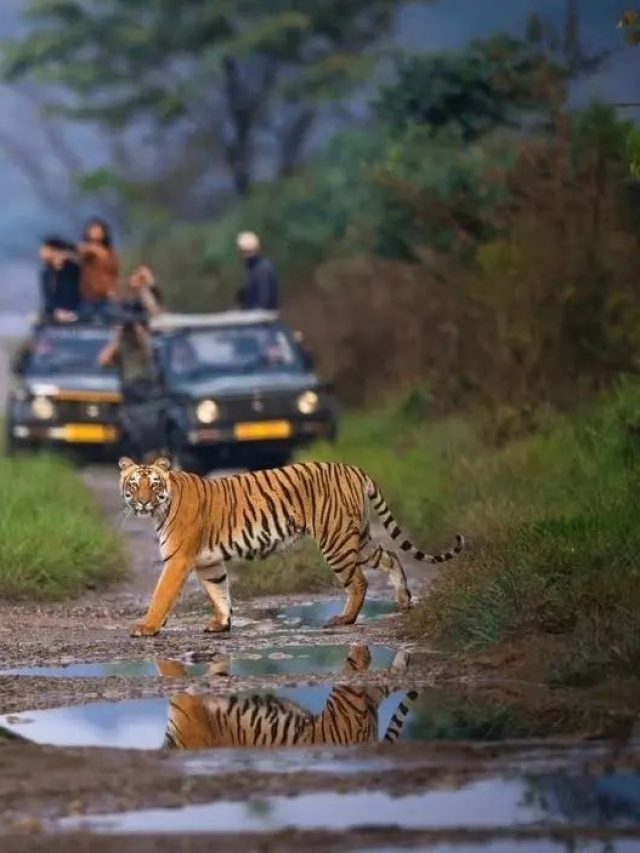 Jim Corbet National Park