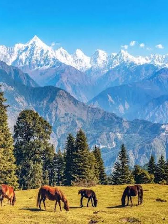 sirmoli village, pithoragarh