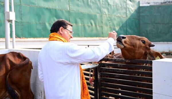 सीएम धामी ने श्री राम मंदिर प्राण प्रतिष्ठा के अवसर पर श्री रामचरितमानस की चौपाइयों का किया पाठ, गौशाला पहुंचकर की गौ माता की सेवा 8 IMG 20240122 WA0033 e1705904645835