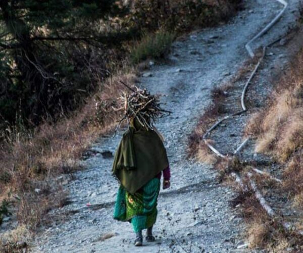 1713919677 20240424 060426 e1713946996422