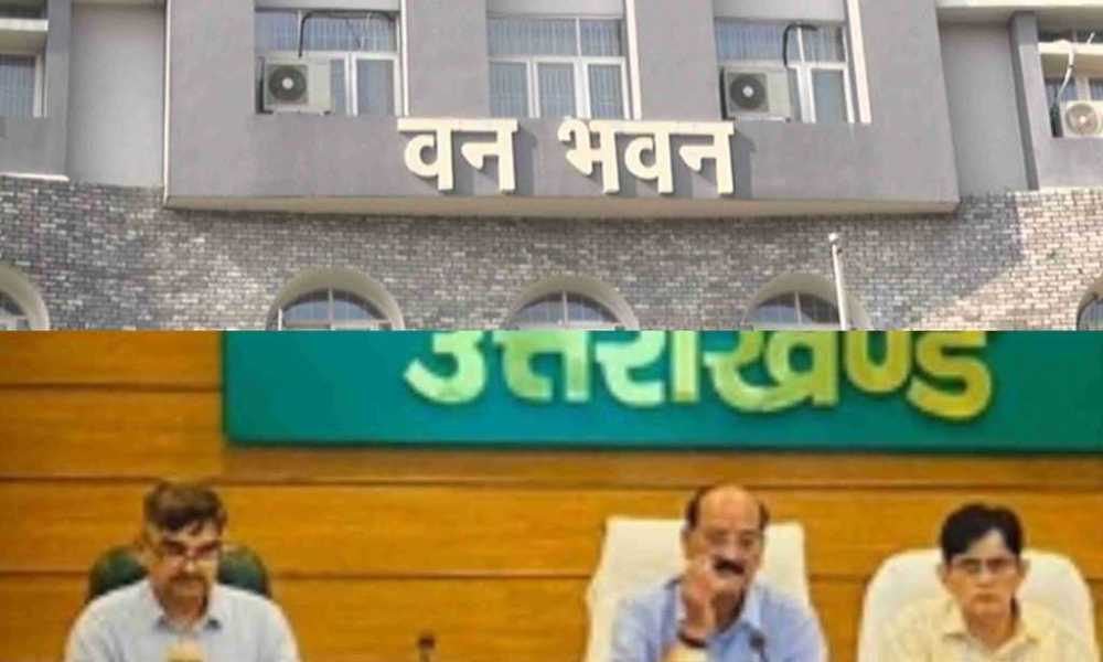 InCollage 20240425 194856375