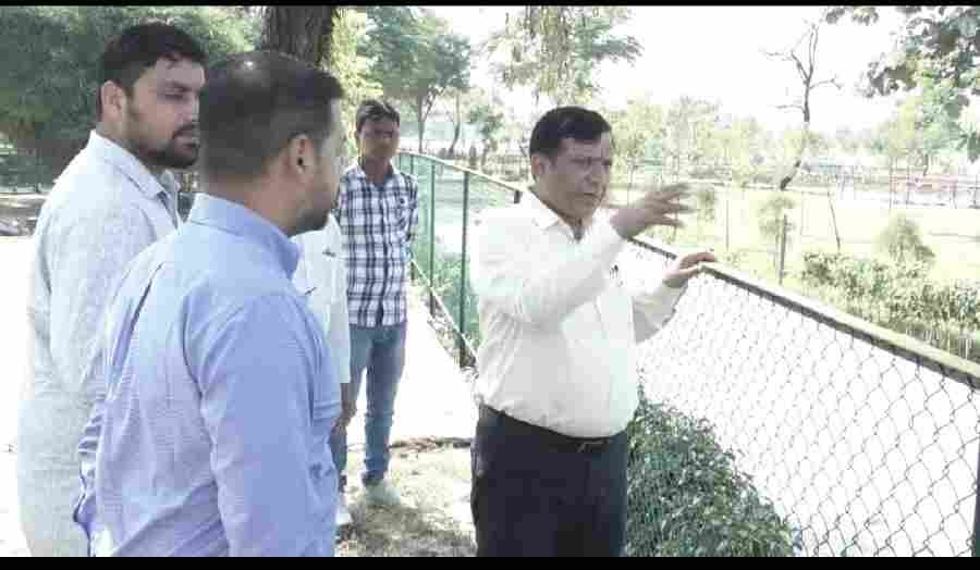 c1 20241010 18523073