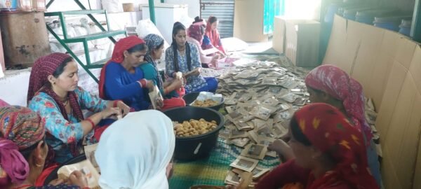 महिला समूहों ने केदारनाथ यात्रा के दौरान करीब 01 करोड़ रुपए का किया कारोबार, 500 से अधिक महिलाओं को मिला सीधा रोजगार, मातृशक्ति की आजीविका में लगातार हो रहा सुधार 1 IMG 20241108 WA0036 e1731076413518