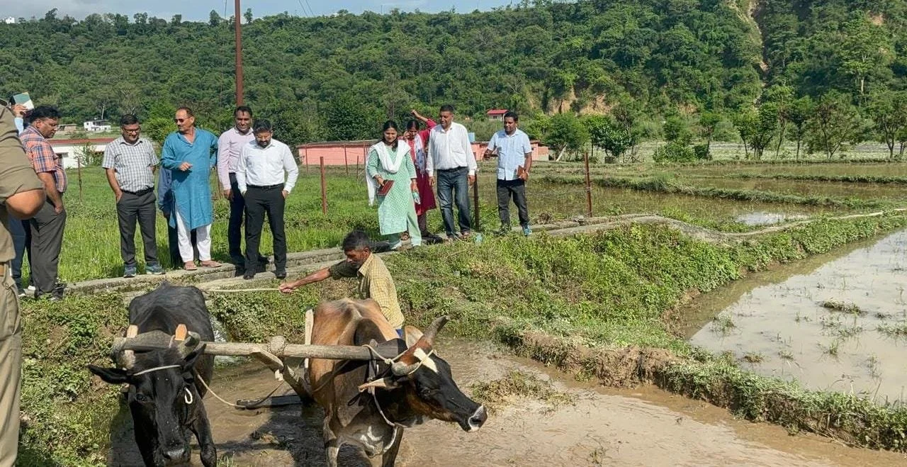 मुख्यमंत्री के निर्देशन पर जिला प्रशासन ने विलुप्त दून बासमती को दिलाई नई पहचान 5 IMG 20251210 WA0032